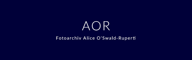 AOR Logo